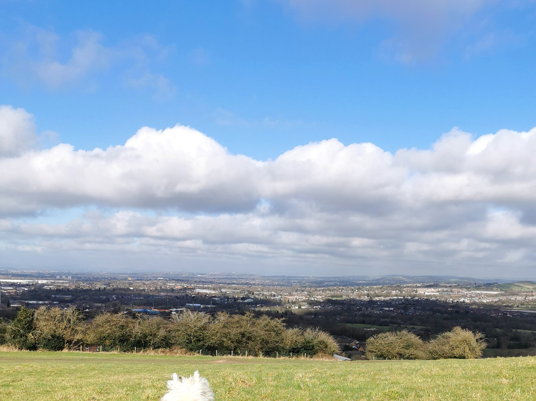Werneth Low Country Park景点图片