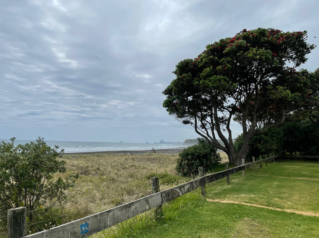 Oakura Beach景点图片