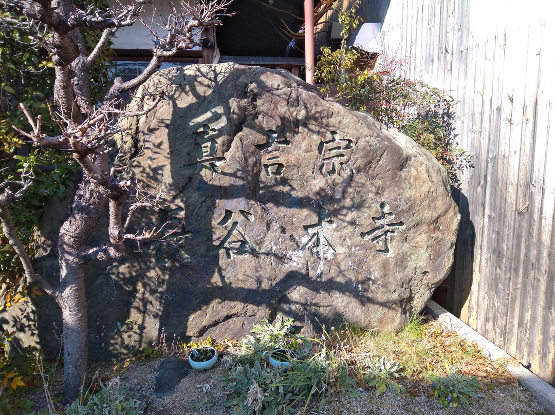 Hasehon-ji Temple景点图片