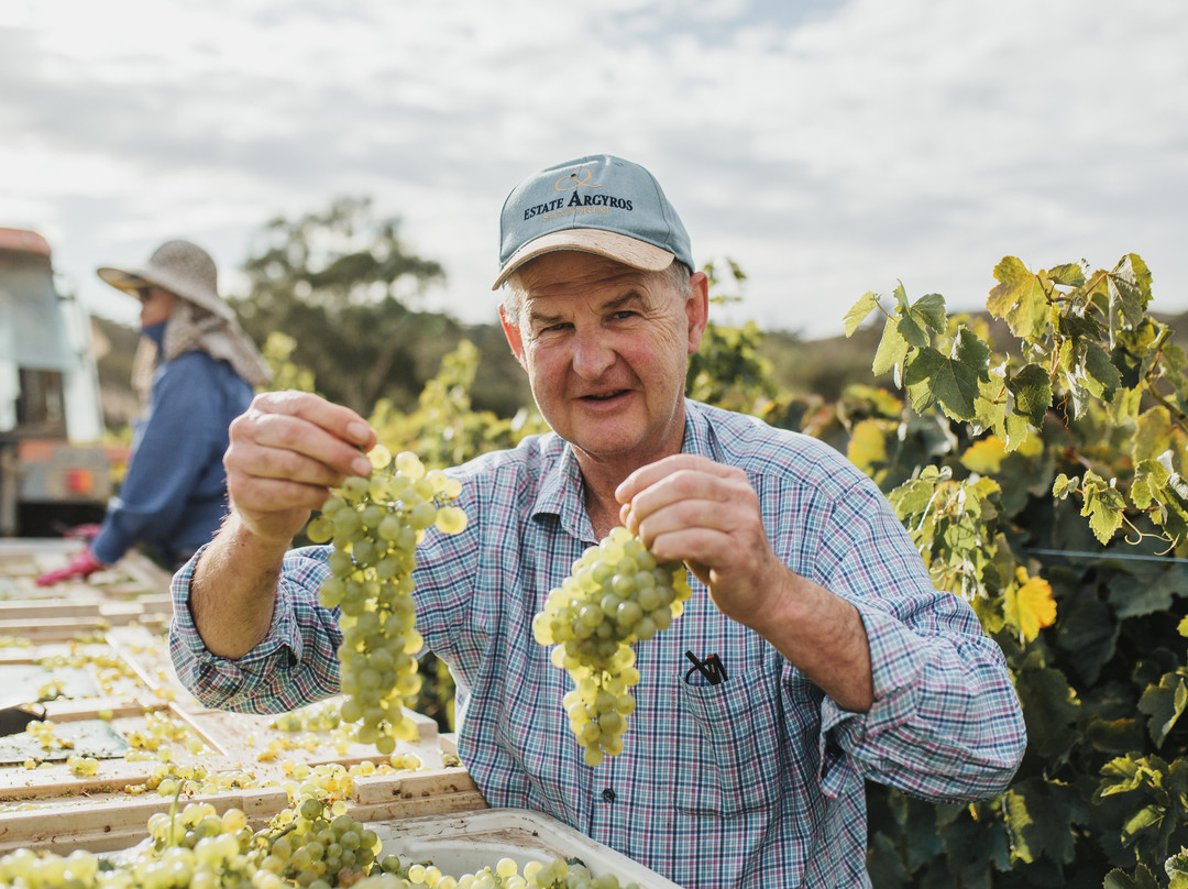 Jim Barry Wines-克莱尔必去景点
