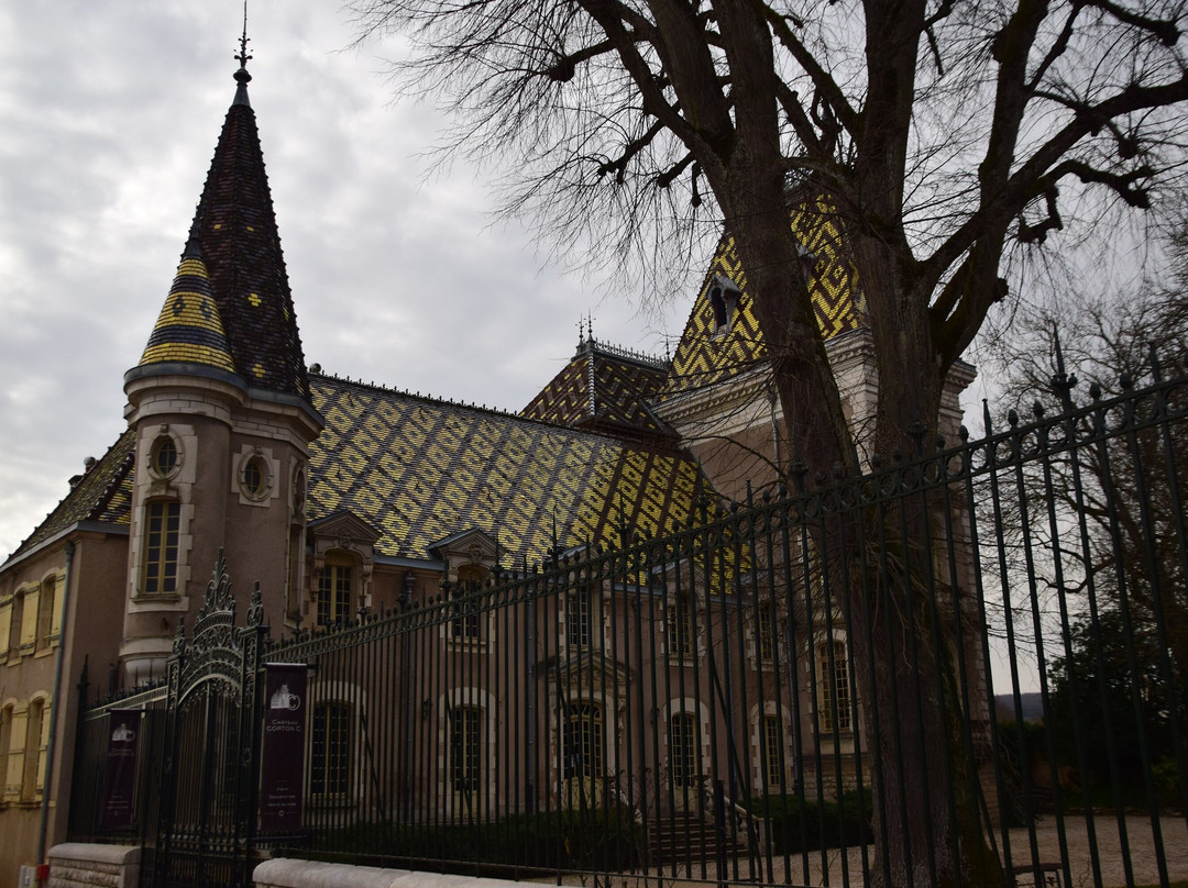 Château Philippe Le Hardi景点图片