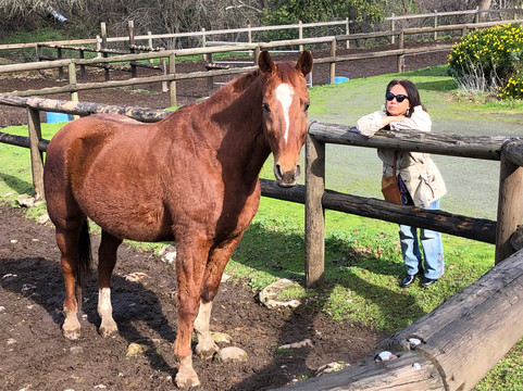 Meadowlark Country House & Resort主图