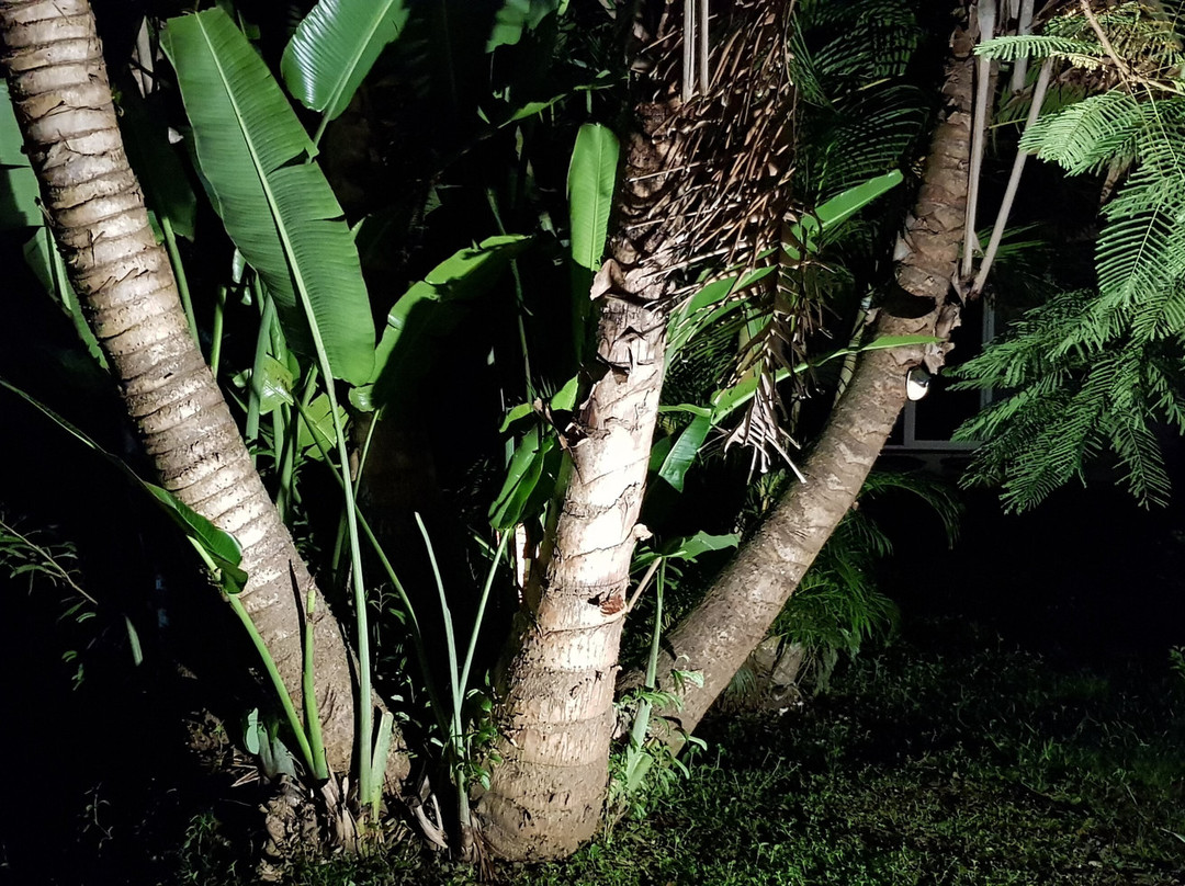 Naina Park Resort主图