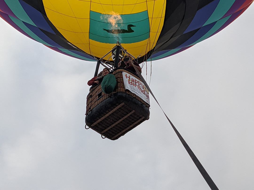 AZ Air Ventures-Safford必去景点