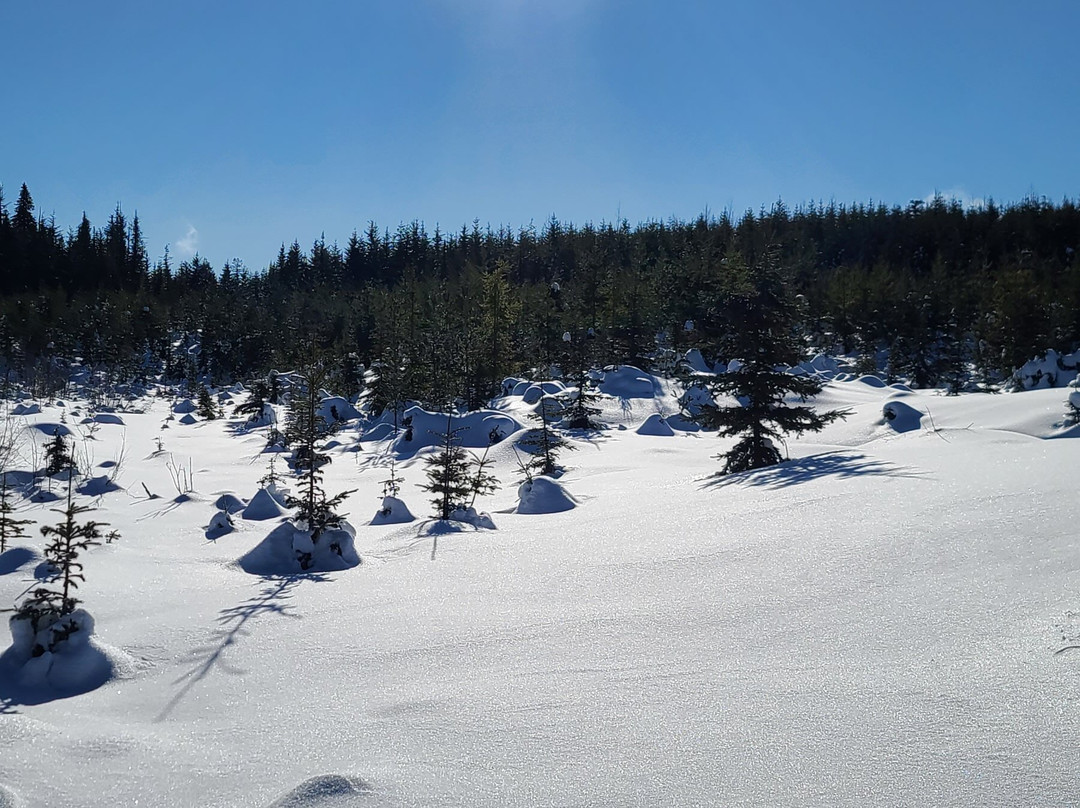 Larch Hills Cross Country Ski Area景点图片