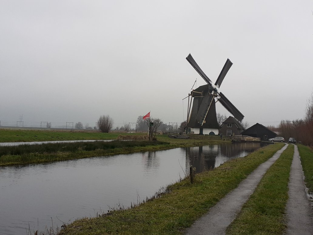 Molen De Onrust, Alias Meermolen景点图片