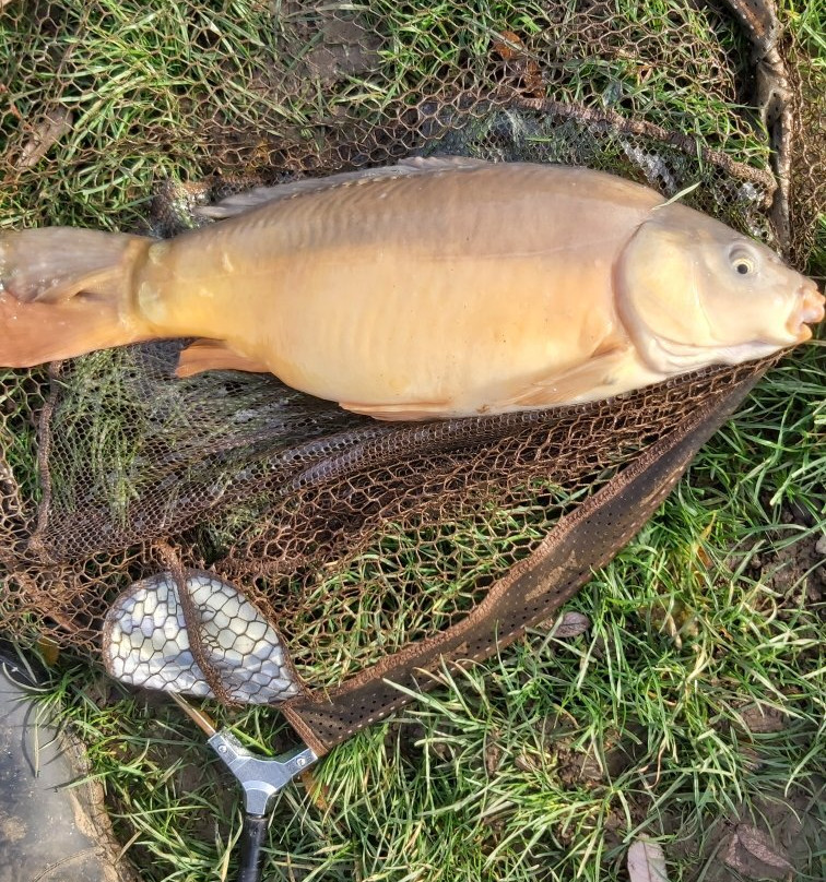 Faulkers Lakes