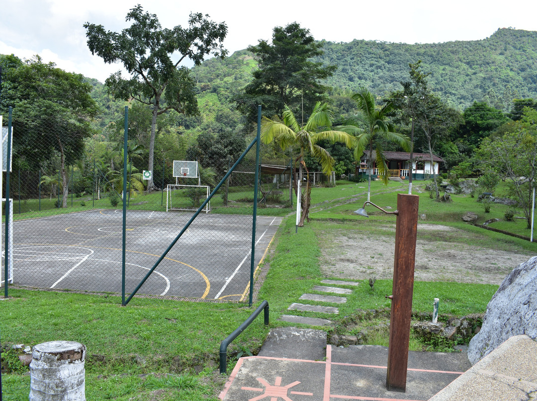 Amigos Del Campo主图