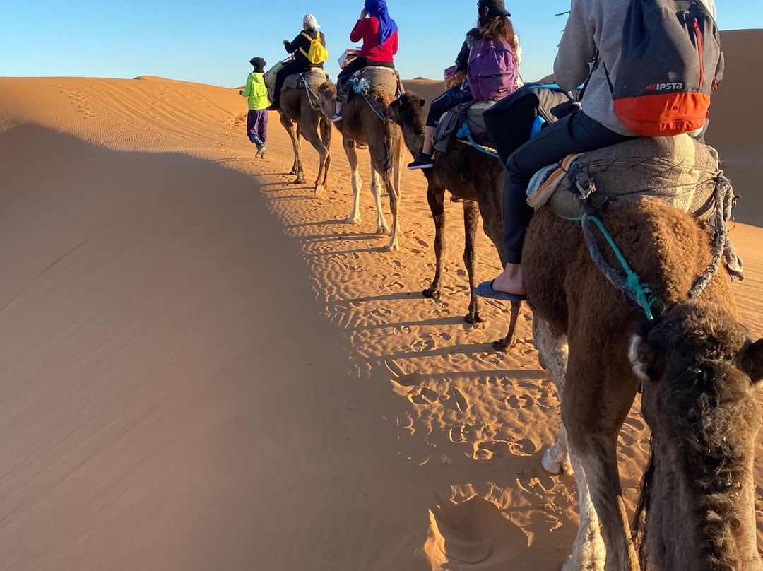 Marrakech daily tours景点图片