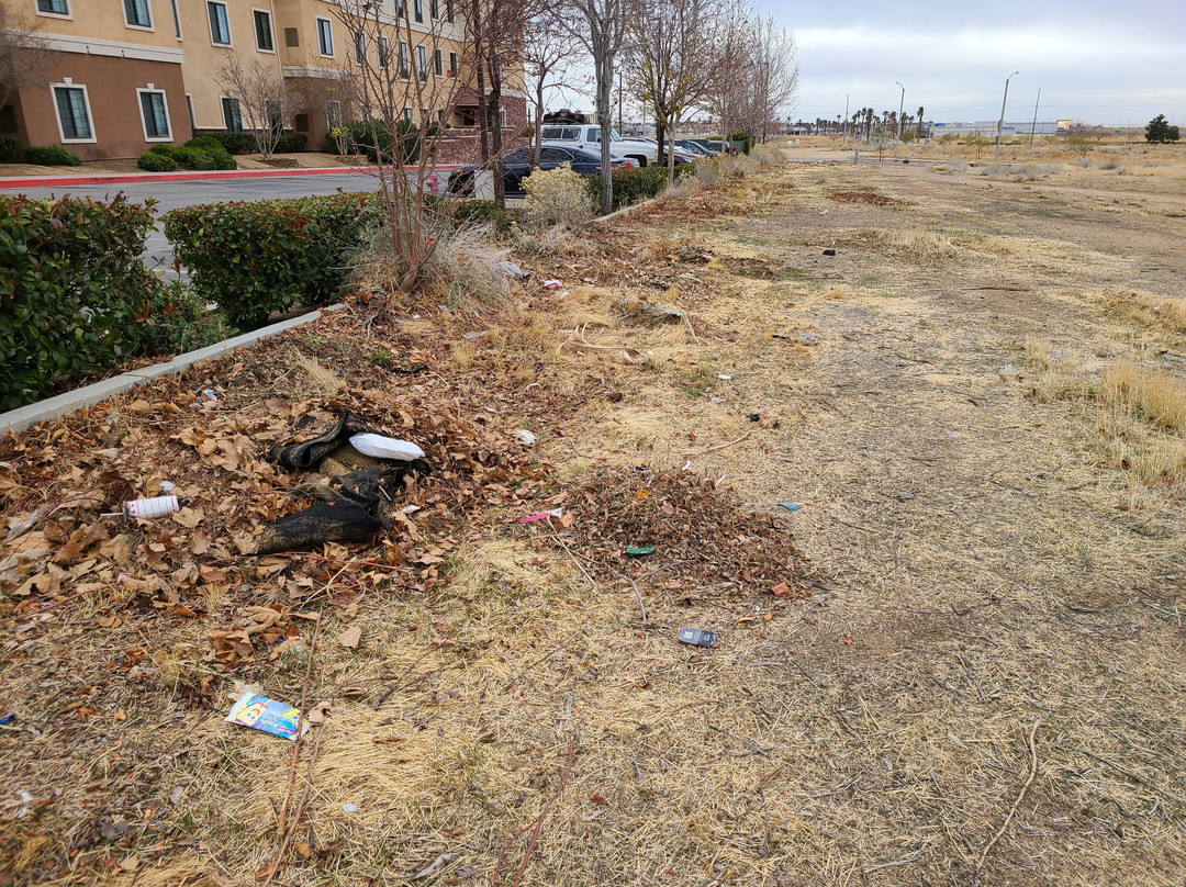 Staybridge Suites Palmdale By IHG主图