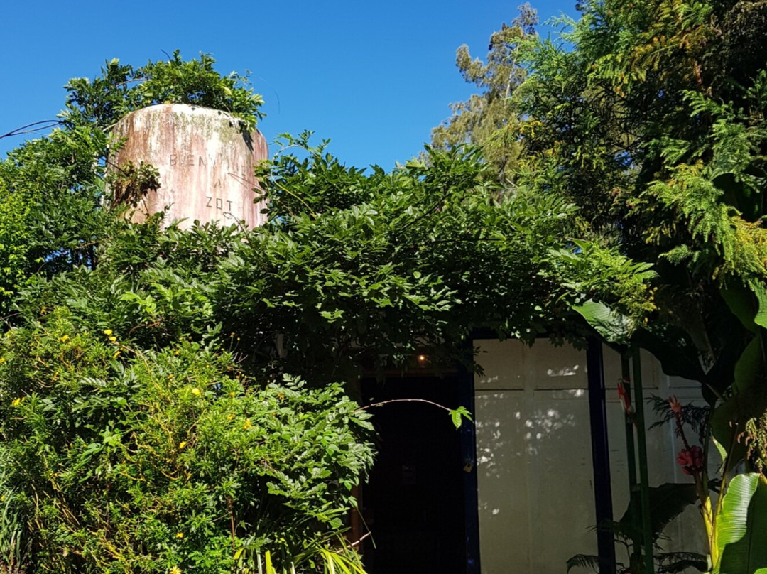 P'ti Blanc des O主图