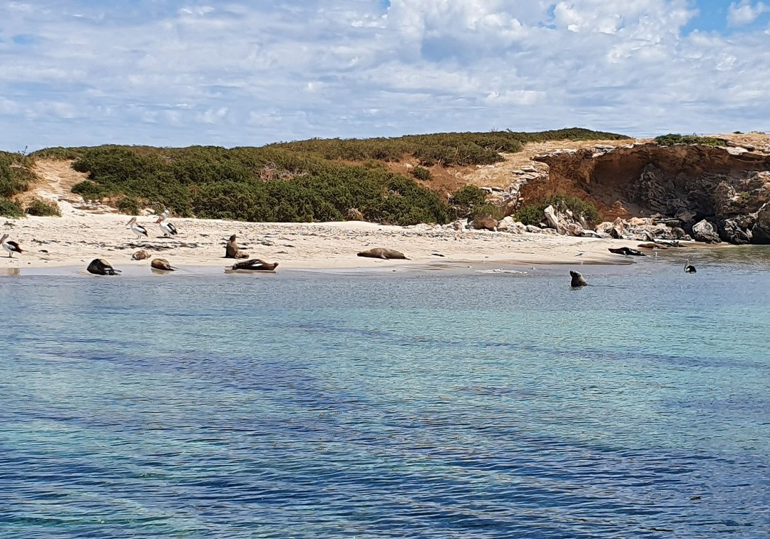 Shoalwater Islands Marine Park景点图片