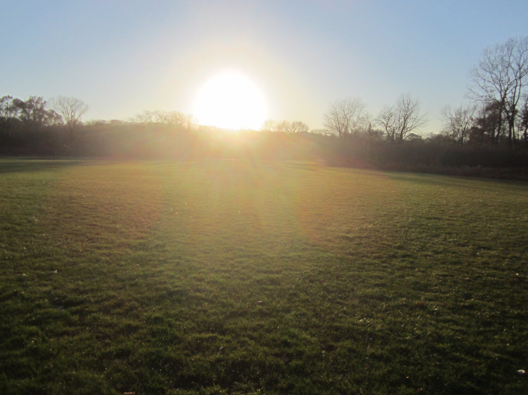 Scott County Park-Eldridge必去景点