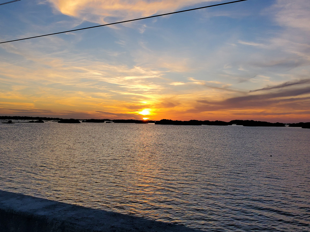 Cedar Key Adventures景点图片