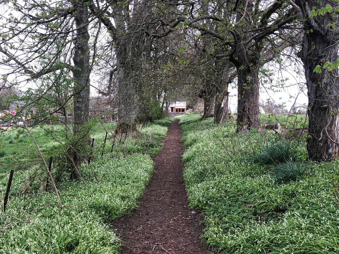 Kettins Walks And Cycle Trails景点图片