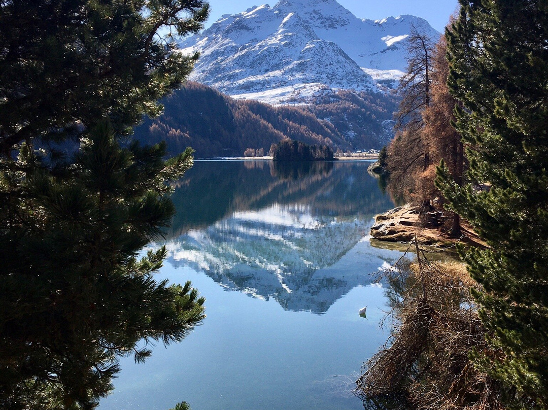 Lake Sils-Sils im Engadin必去景点