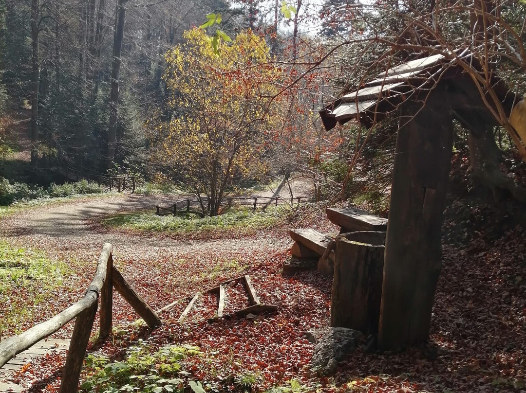 Medvednica mountain (Sljeme)景点图片