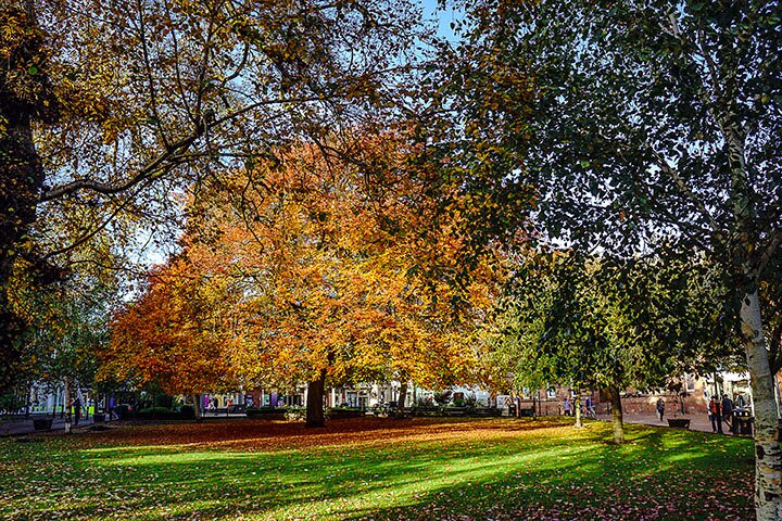 St Mary's Church (Nantwich)景点图片