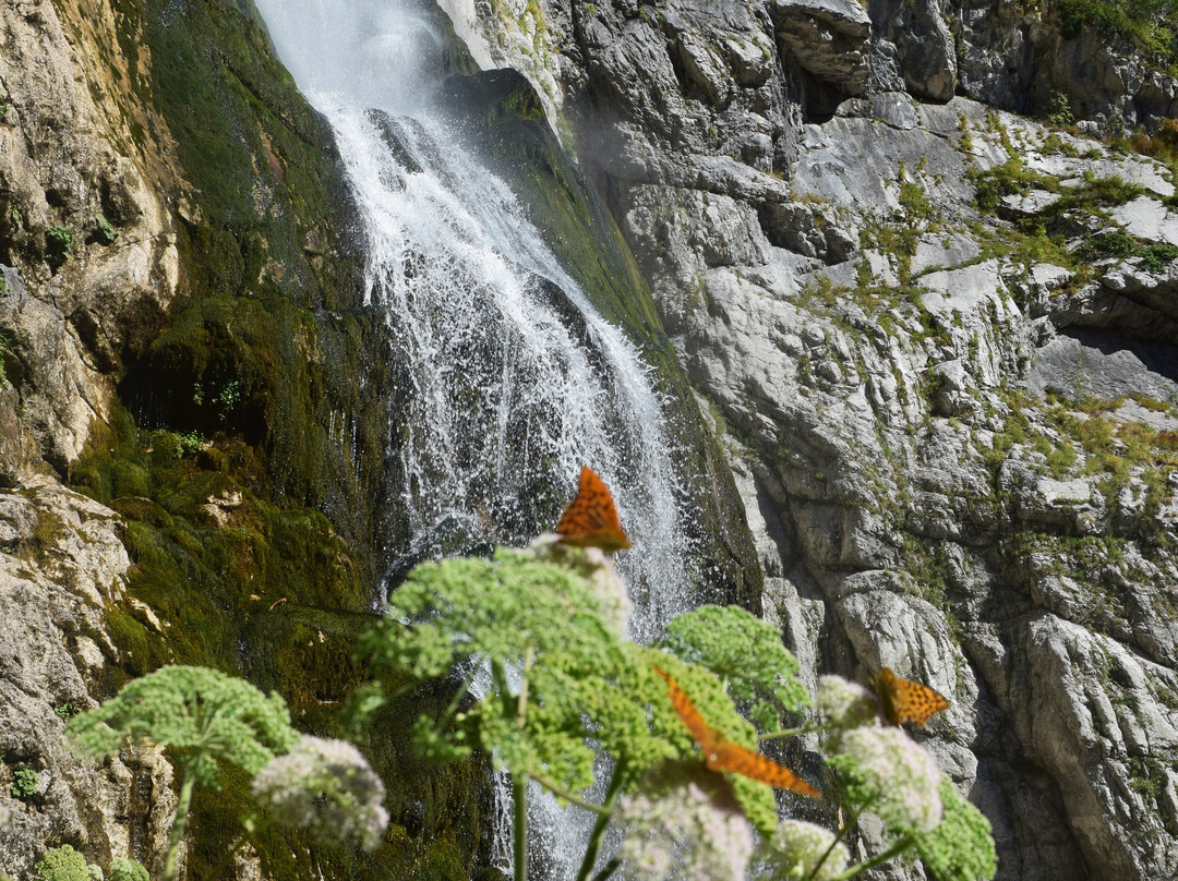 Gegskiy Waterfall-Gagra必去景点