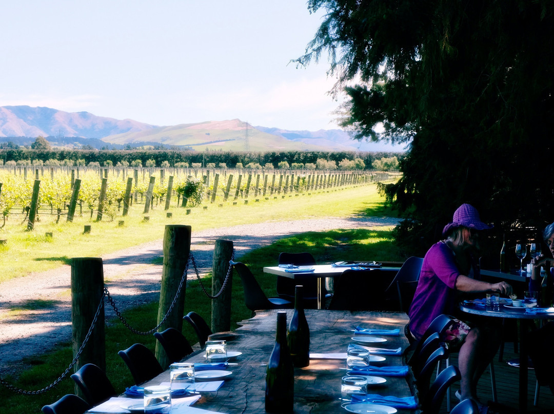 Fiddler's Green Vineyard & Bistro景点图片