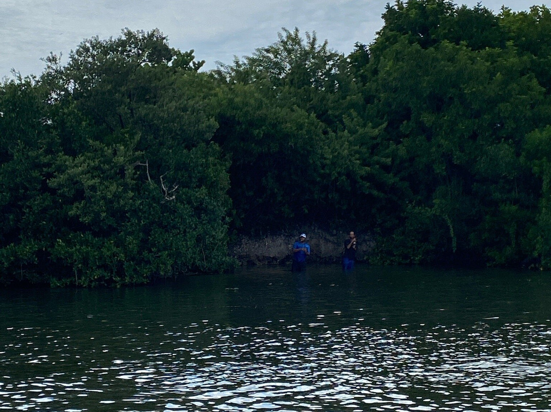 Blackburn Point Park-Osprey必去景点