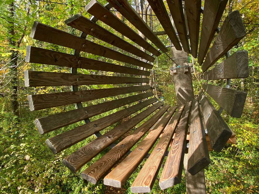 Waldseilpark Karlsruhe景点图片