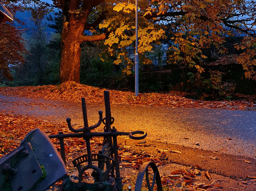 Aparthotel Legendär主图