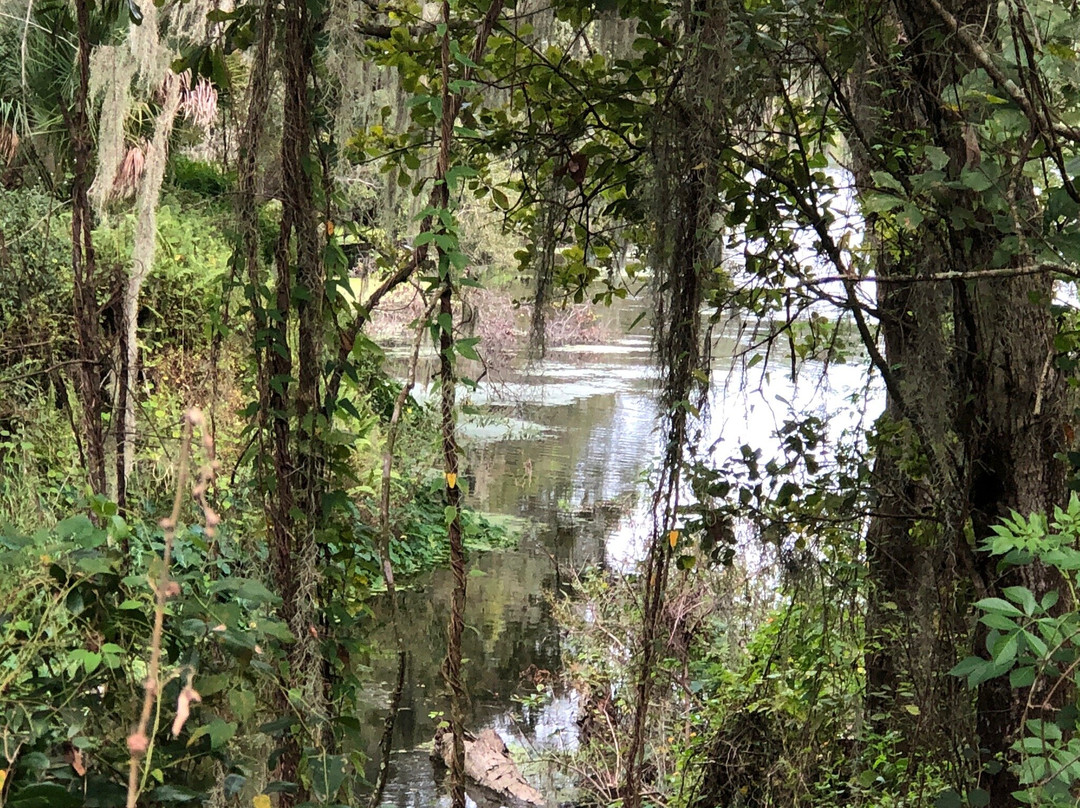 Edward Medard Regional Park-普兰特城必去景点