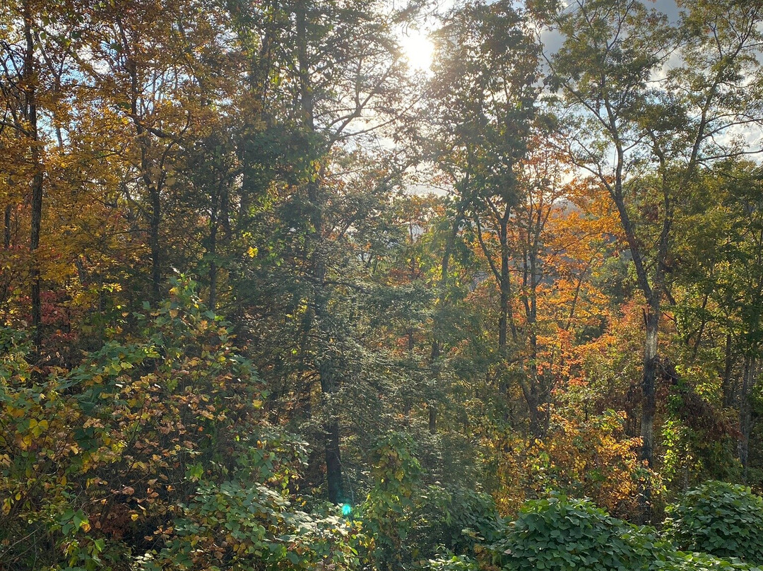 Pine Mountain State Resort Park - Lodging主图