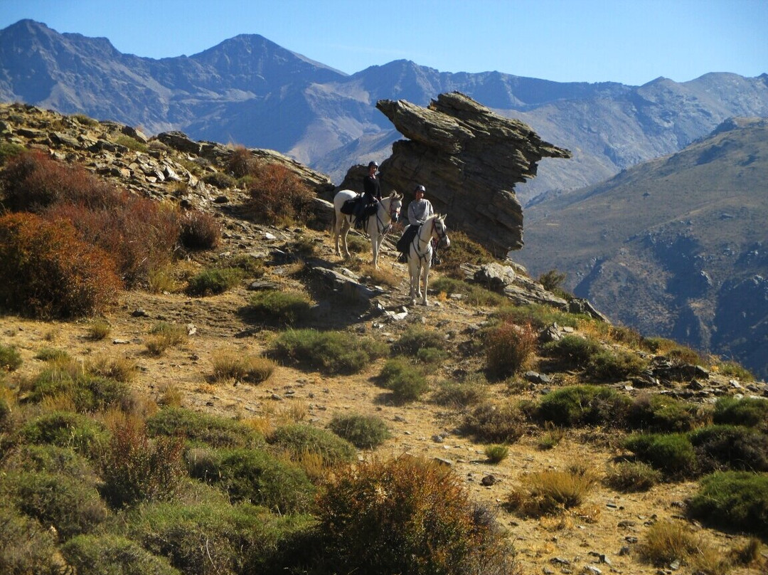 Las Encinillas Rutas a Caballo景点图片