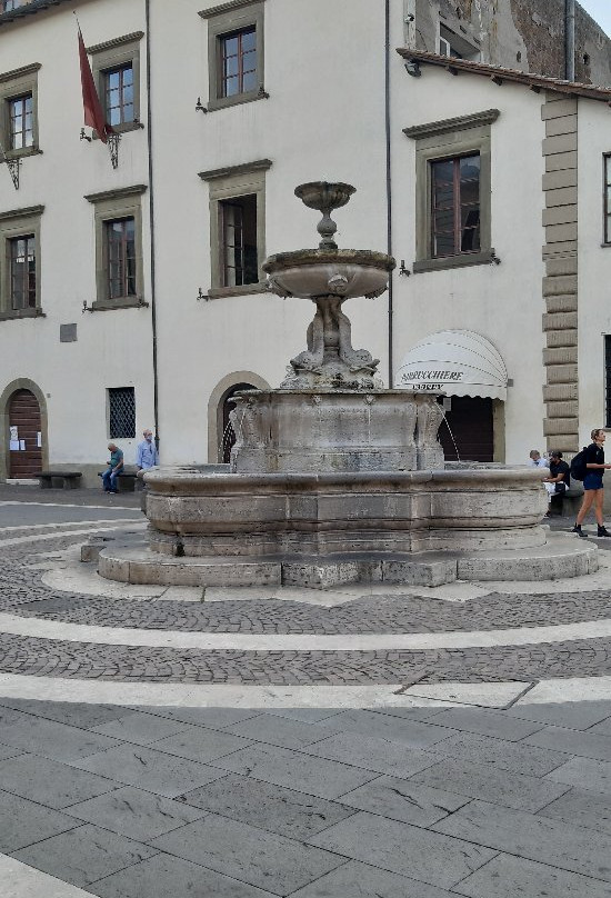 Fontana dei Delfini景点图片