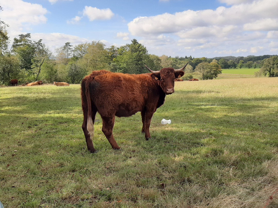 Les Hauts de Sousceyrac-Sousceyrac必去景点