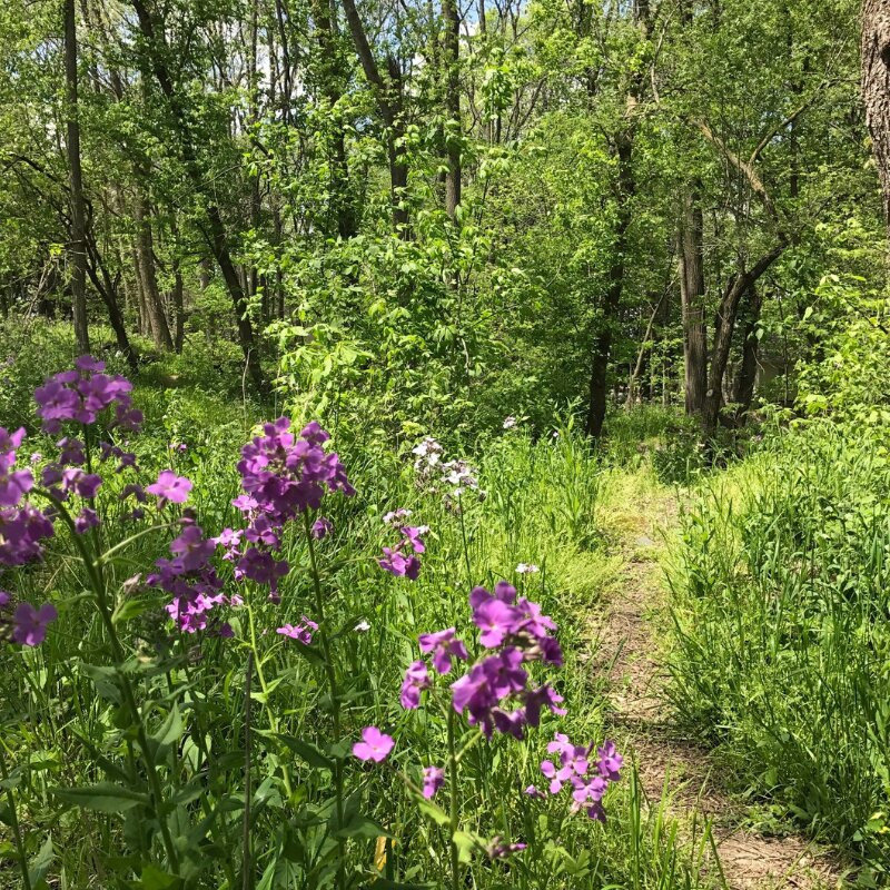 Haan Museum Sculpture Garden-拉斐特必去景点
