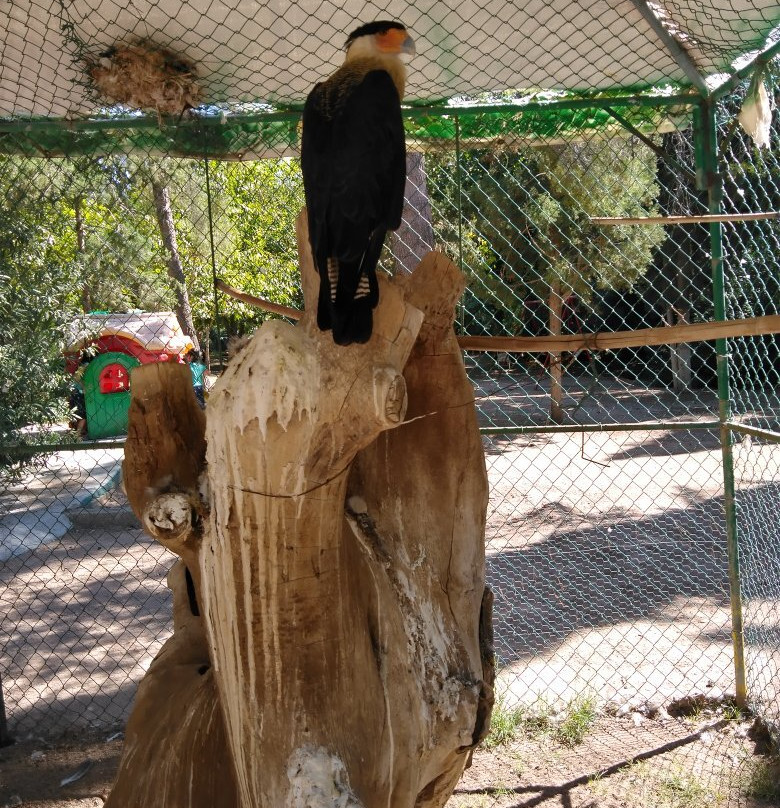 Zoologico de Chihuahua-Aldama必去景点