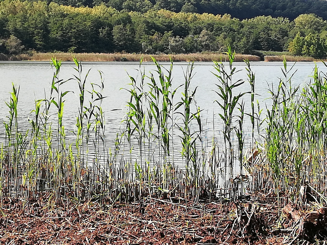 Lago di Monticchio Piccolo景点图片