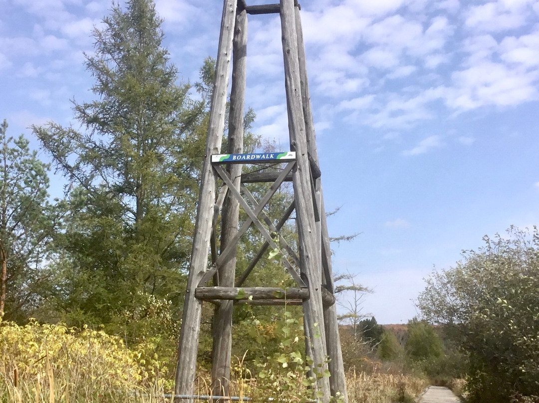 The Minden River Walk景点图片