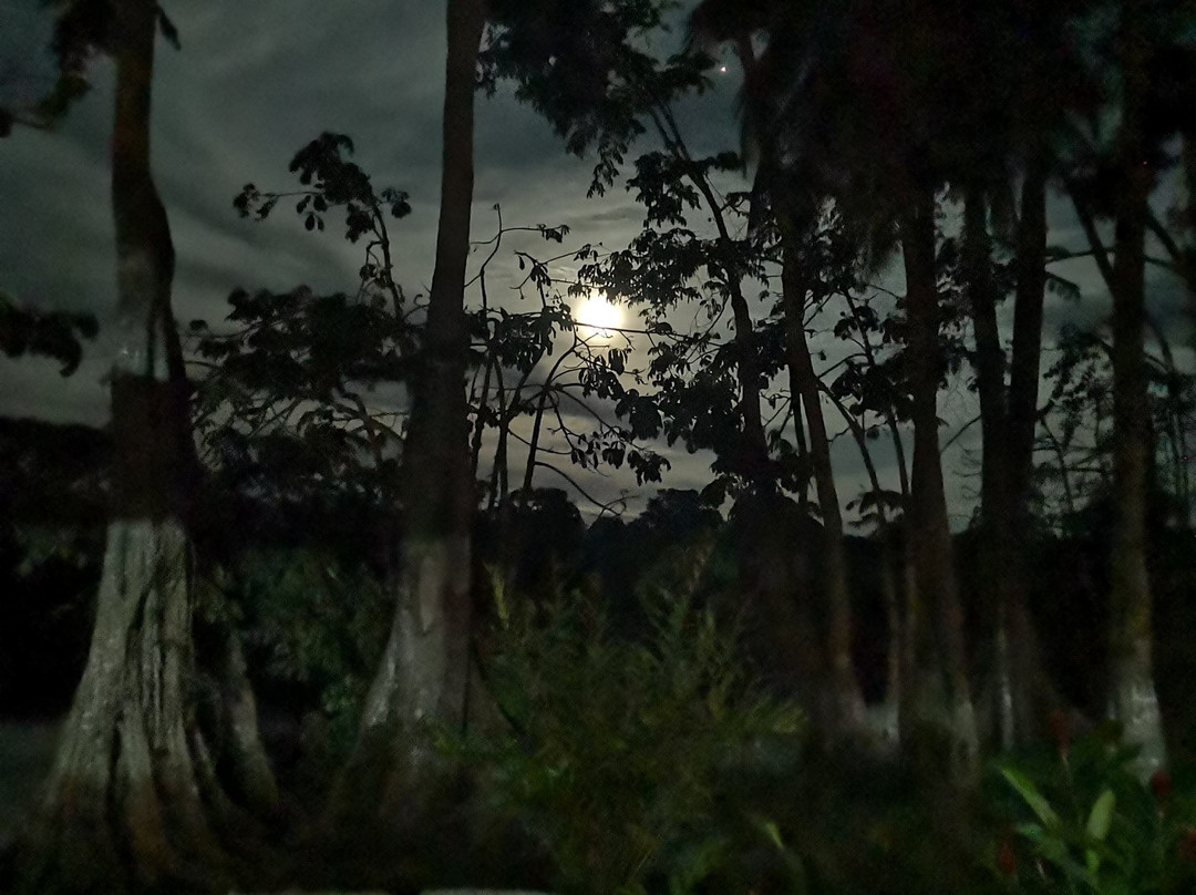 Lirio Lodge景点图片
