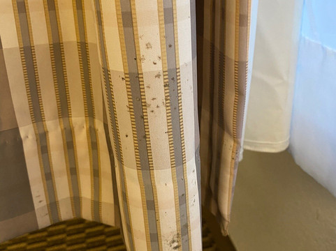 （尼古拉斯维尔）洲际智选假日酒店列克星敦西南主图