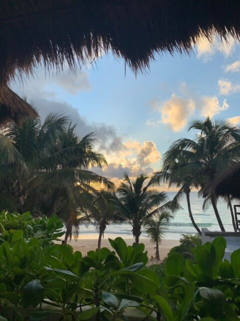 图卢姆小屋主图