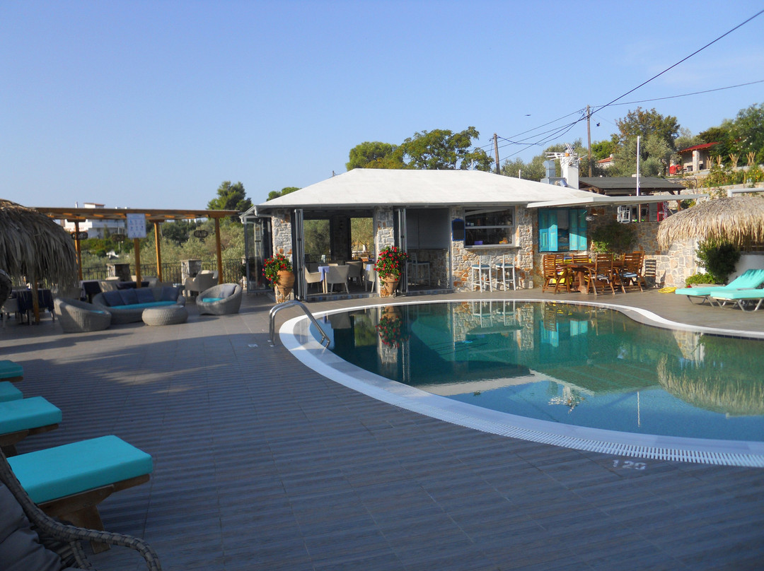 Theodora Studios主图