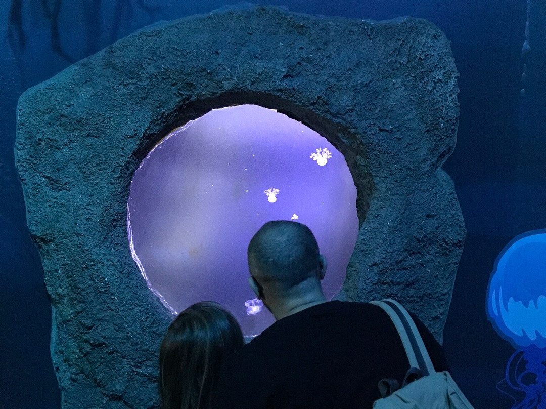 Lido di Jesolo Sea Life Aquarium-耶索洛必去景点