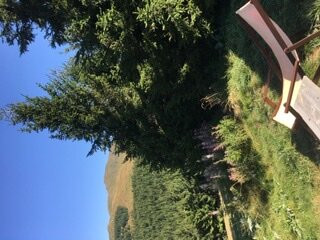 Nature Park Stara Planina-Pirot必去景点