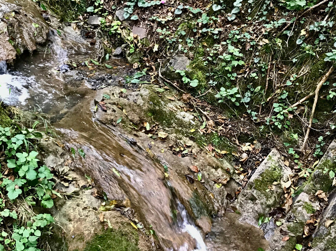 Lago di Endine景点图片