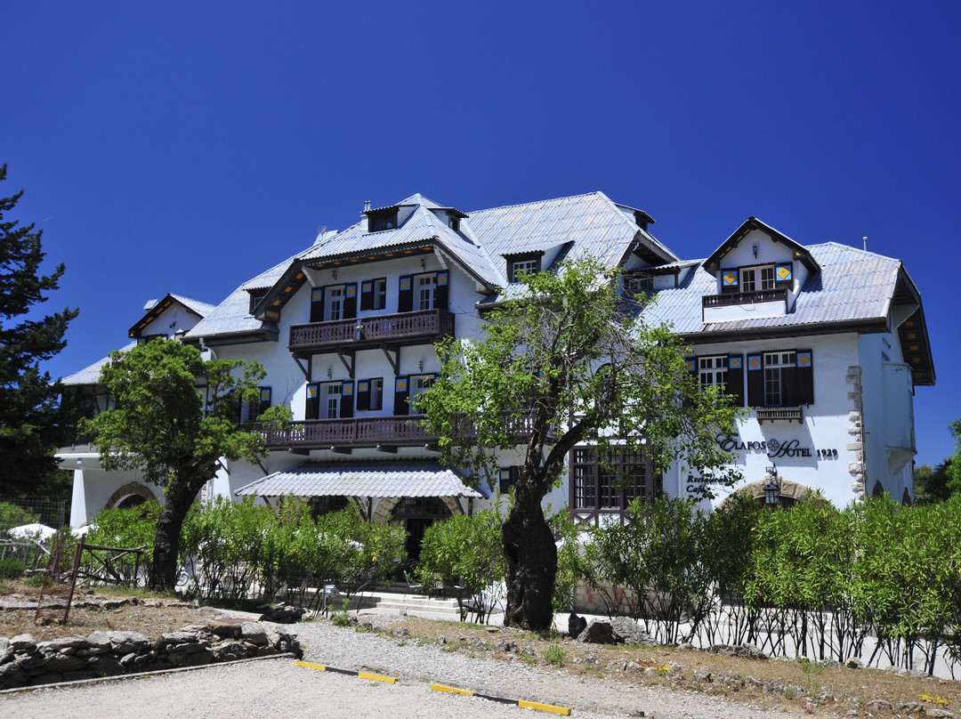 Elafos Hotel主图