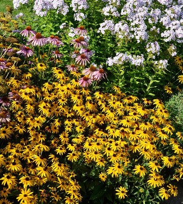 Walkerton Heritage Water Garden-沃克顿必去景点