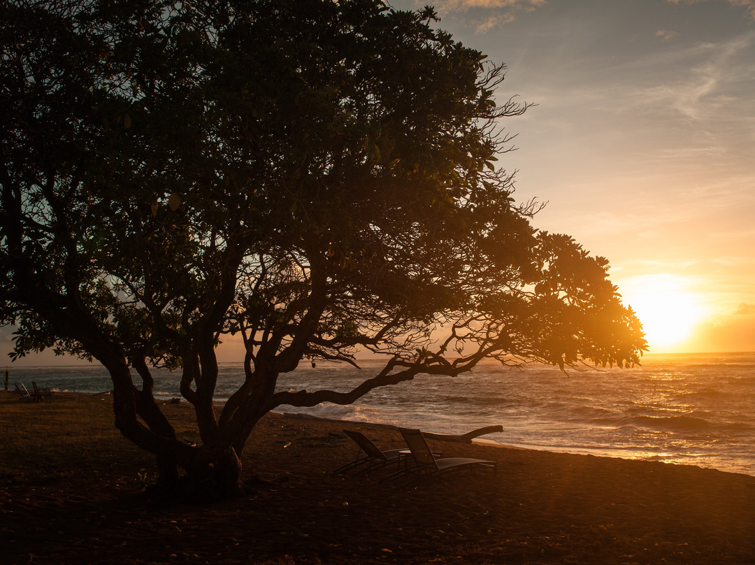 黑尔种植园套房酒店主图