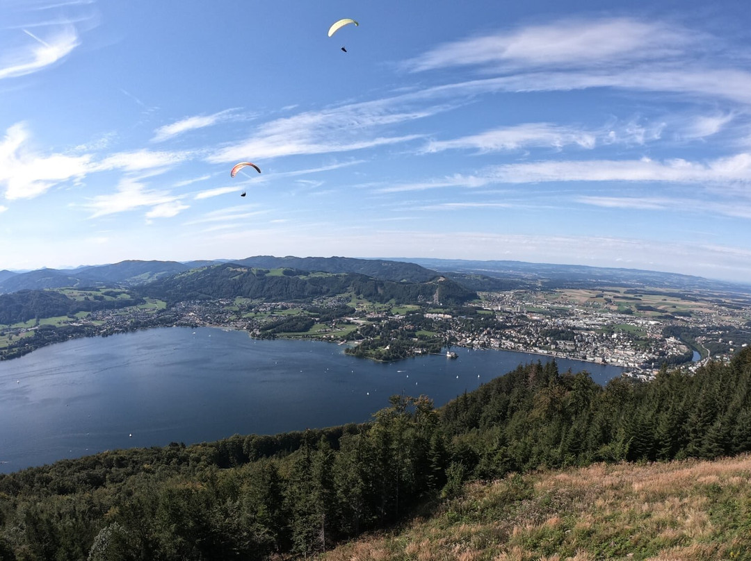 Baumwipfelpfad Salzkammergut-葛姆登必去景点