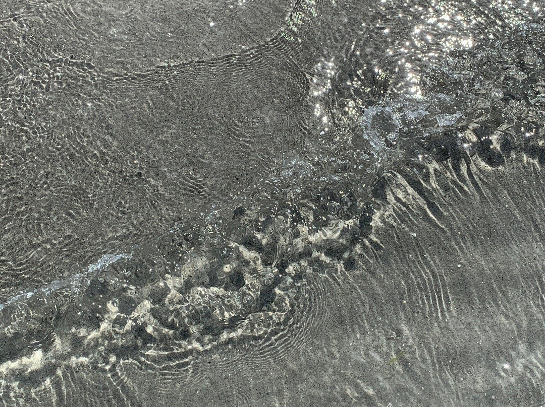 Ferry Beach景点图片