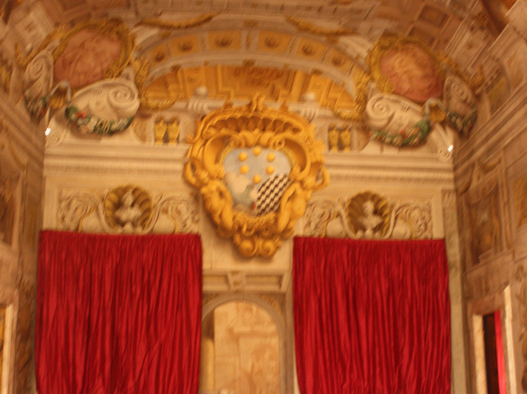 Museo Nazionale di Palazzo Mansi景点图片