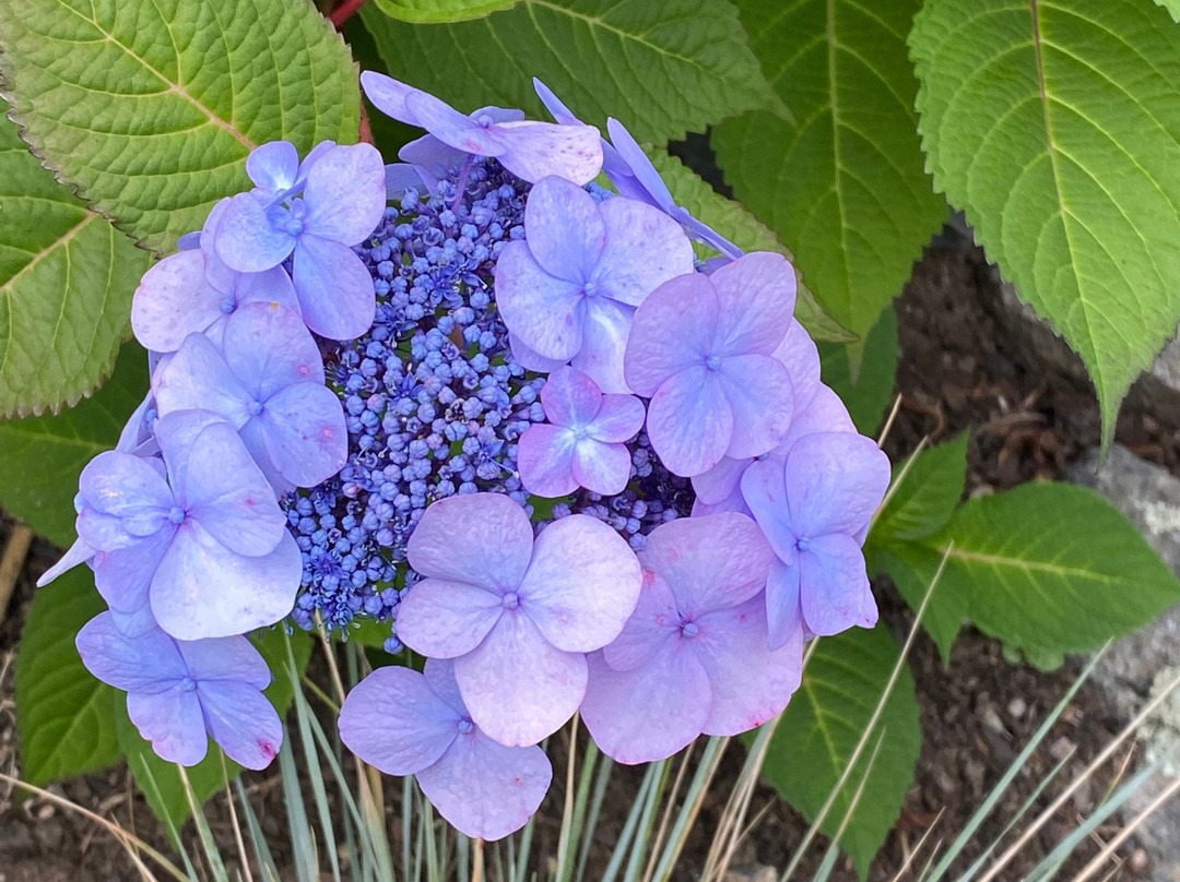 The Inn at Ocean's Edge主图